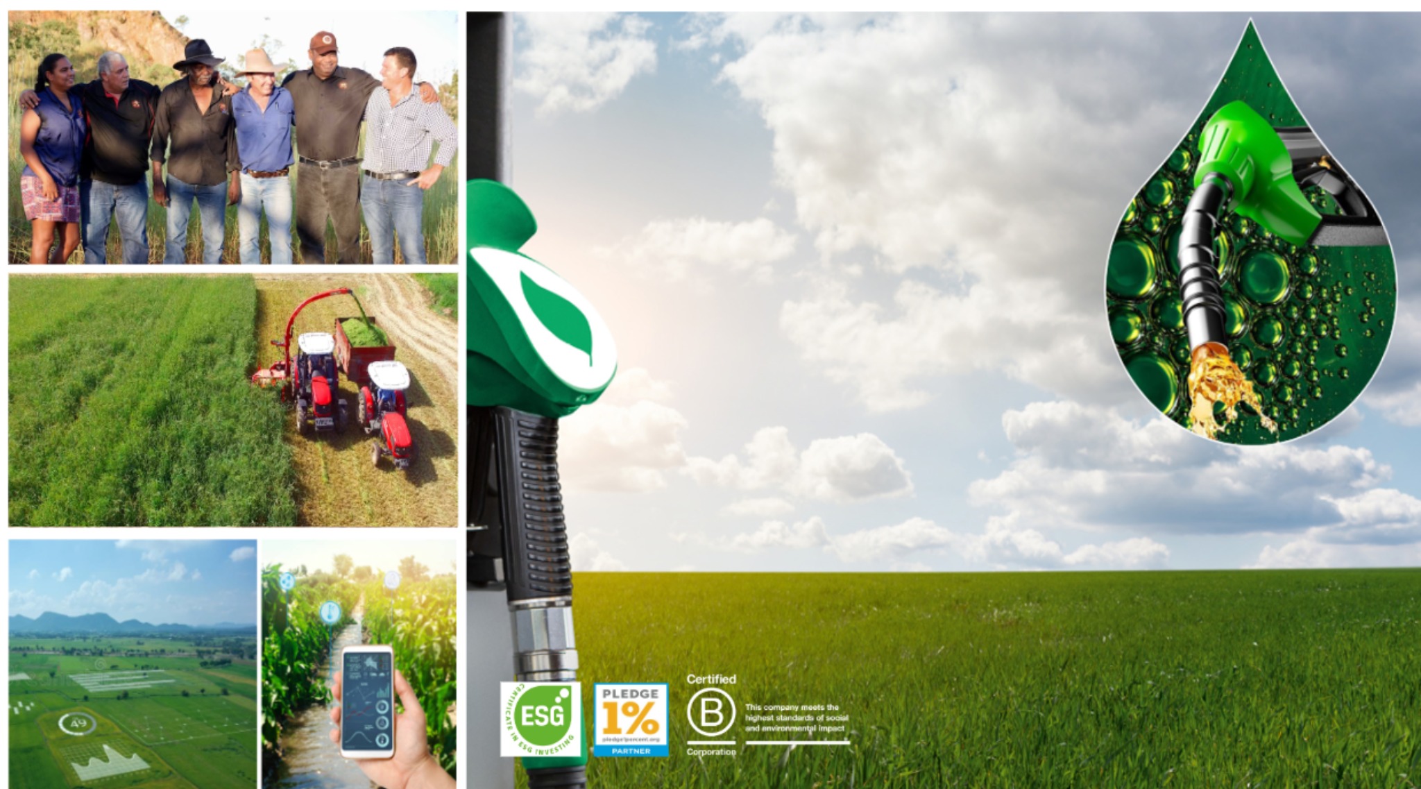 Bioplant Greenpath project collage